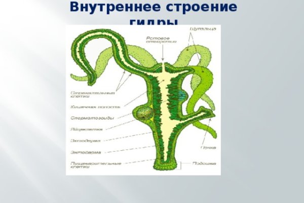 Зеркало блэкспрут онион тор