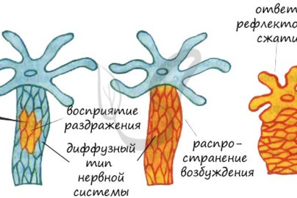 Мега вход ссылка онион