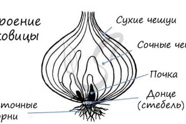 Как купить биткоин на меге первый раз